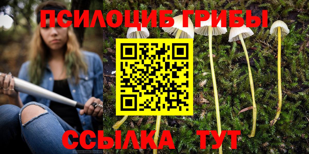 Галлюциногенные грибы Magic Shrooms  Галлюциногенные грибы Psilocybe  Вход с VPN  Астрахань 