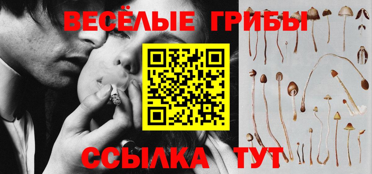 Псилоцибиновые грибы мухоморы Астрахань
